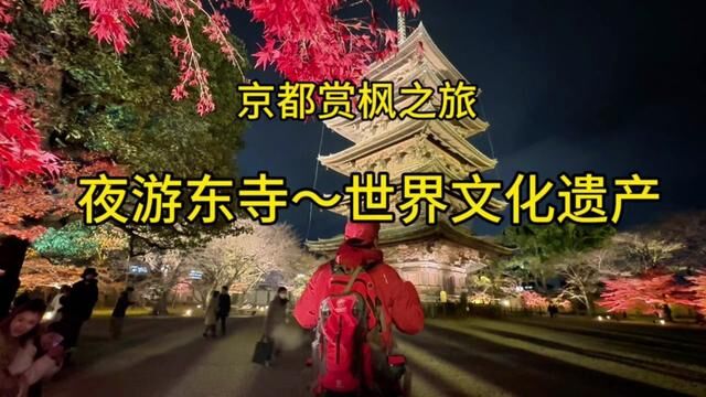 京都赏枫~也有东寺,这里是世界文化遗产,夜枫挺漂亮.