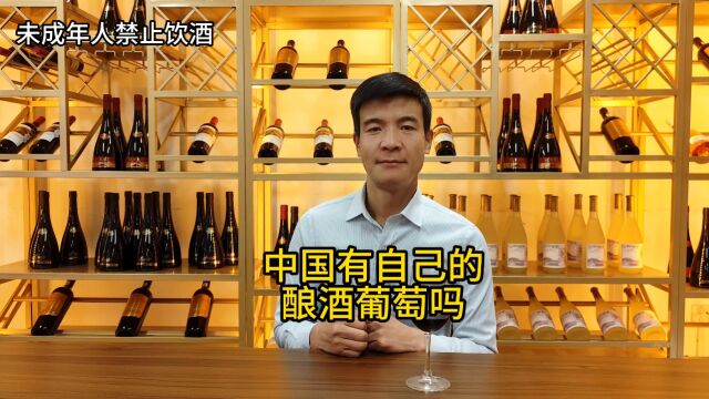 soole红酒学院: 中国自己的酿酒葡萄——蛇龙珠 