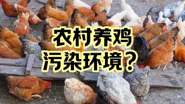 村民反复饲养家禽被取消养老金#江苏 #无锡 #农民