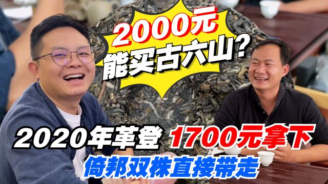 2000元能买古六山?2020年革登1700元拿下!倚邦双株直接带走?