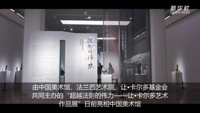 让ⷮŠ卡尔多艺术作品展亮相中国美术馆