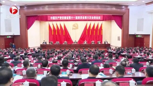 中国共产党安徽省第十一届委员会第六次全体会议决议