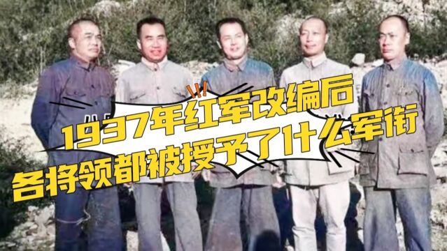 1937年红军改编后,各将领都被授予了什么军衔?