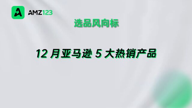 12月亚马逊5大热销产品