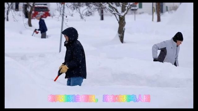 《雪中送炭》