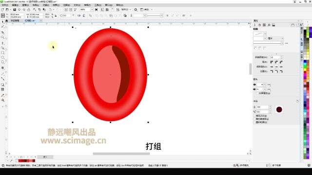 【SCI科研制图教程】如何画红细胞(CorelDRAW软件/CDR软件)【宋元元博主】