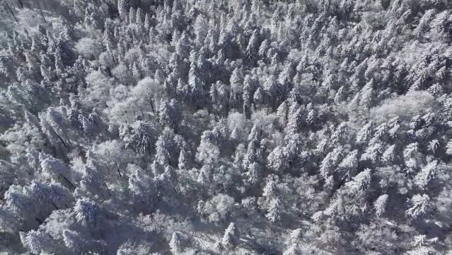 老里克湖的冬季“仙境” 让你沉醉在无边的雪景之中~