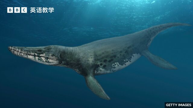 BBC媒体英语:英格兰海岸发现史前巨型海洋生物头骨化石