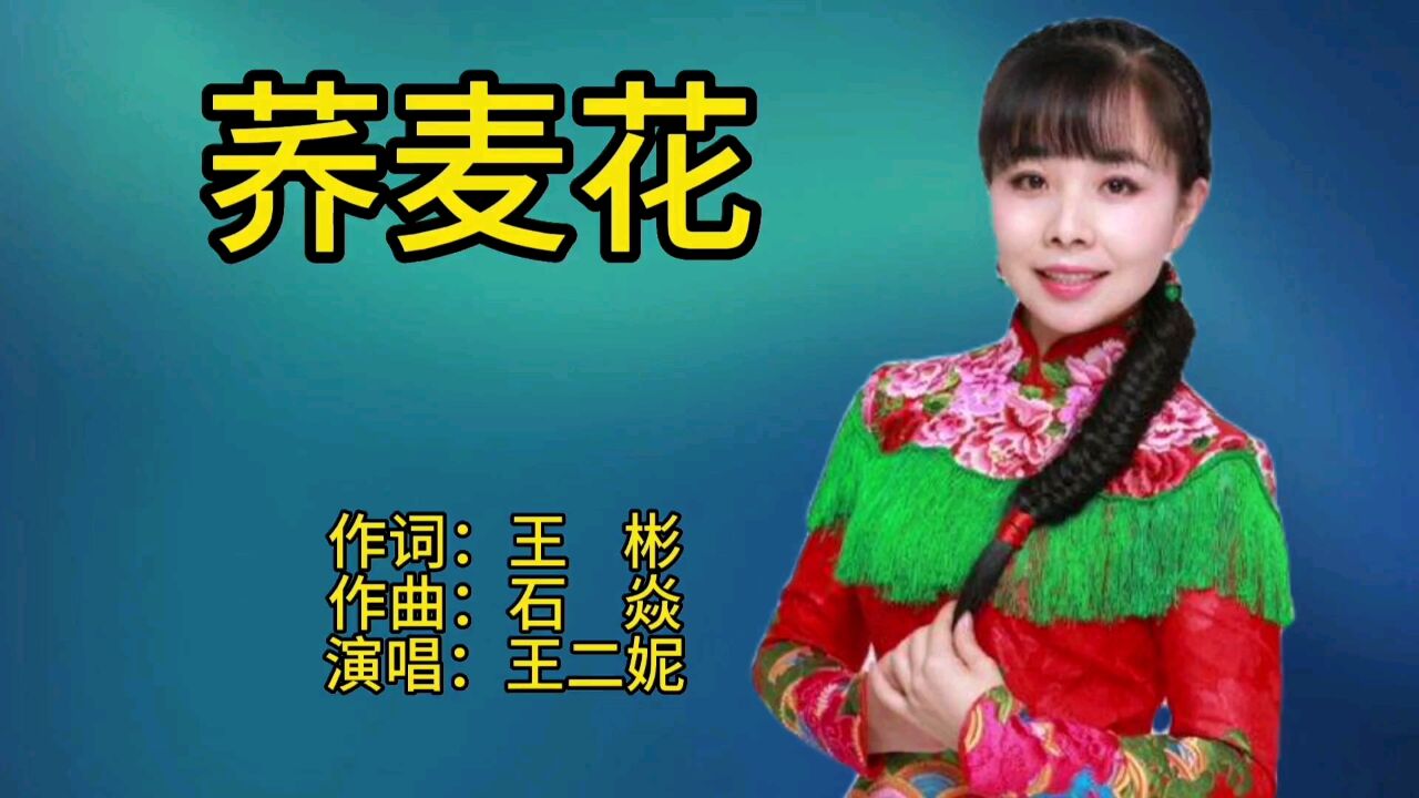 王二妮一首经典陕北民歌老歌《荞麦花》歌声宛转悠扬,百听不厌!