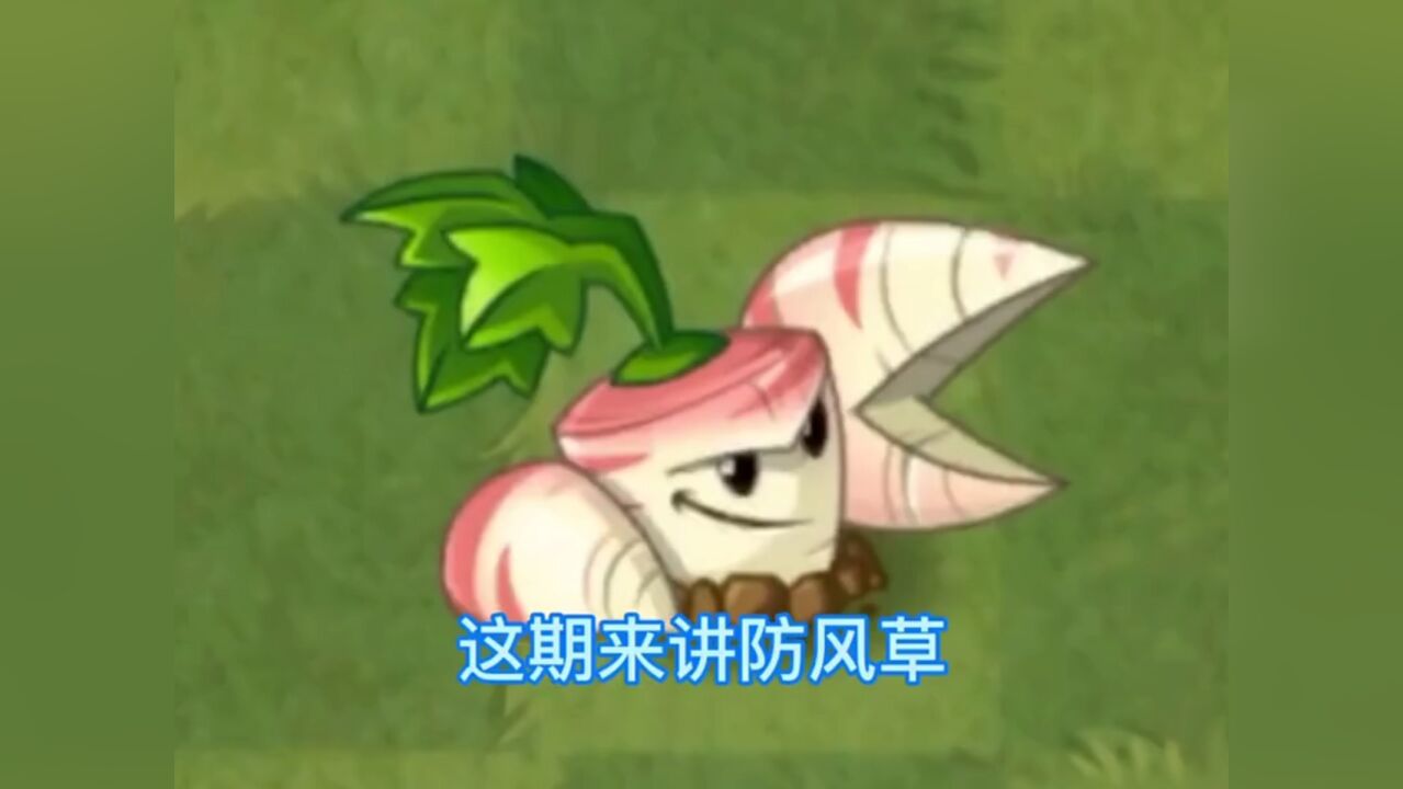 植物大战僵尸:众所周知防风草是灰烬植物