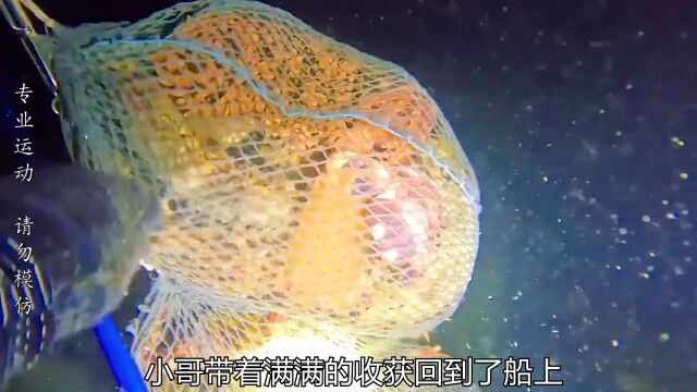 捡一根的海参就发财,如此大的海参您见过吗?