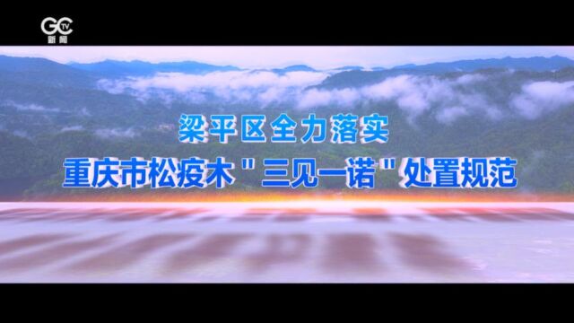 梁平区全力落实重庆市松疫木＂三见一诺＂处置规范