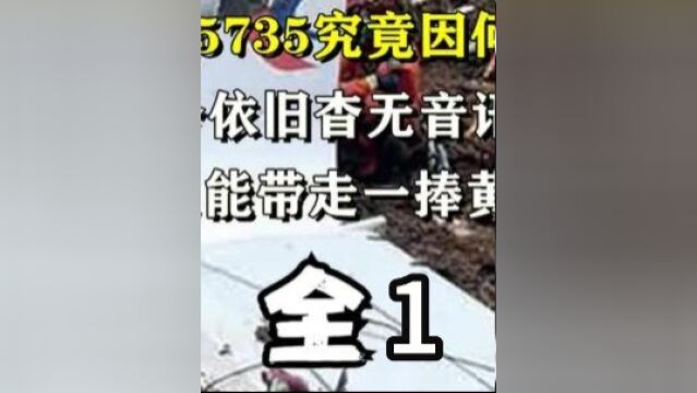 东航MU5735究竟因何坠毁,至今依旧杳无音讯,家属只能带走一捧黄土