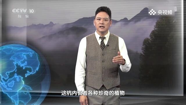 五岭独特的地理位置,给龙胜臭蛙提供了栖息环境,太神奇了