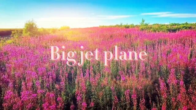 Big jet plane