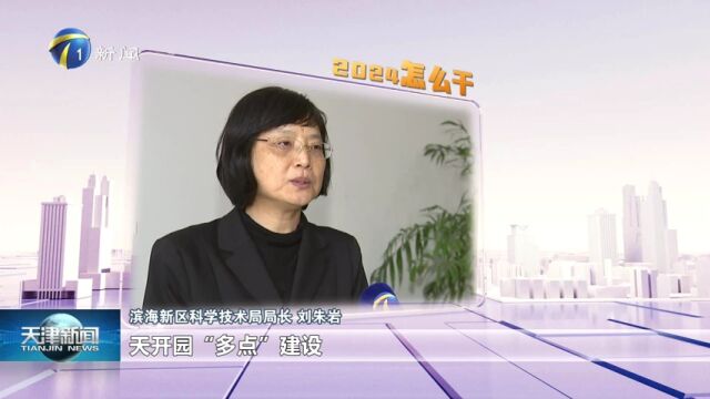 滨海新区2024怎么干