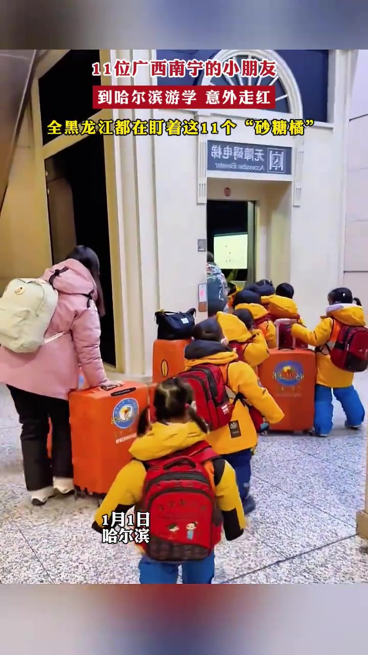 11位广西南宁的小朋友,到哈尔滨游学 意外走红,全黑龙江都在盯着这11