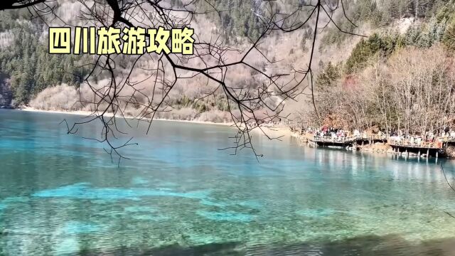 四川旅游攻略——探寻巴蜀文化的魅力之地