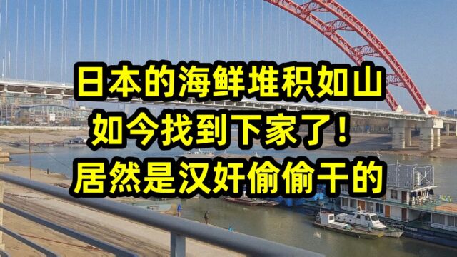 日本的海鲜堆积如山,如今找到下家了!居然是汉奸偷偷干的