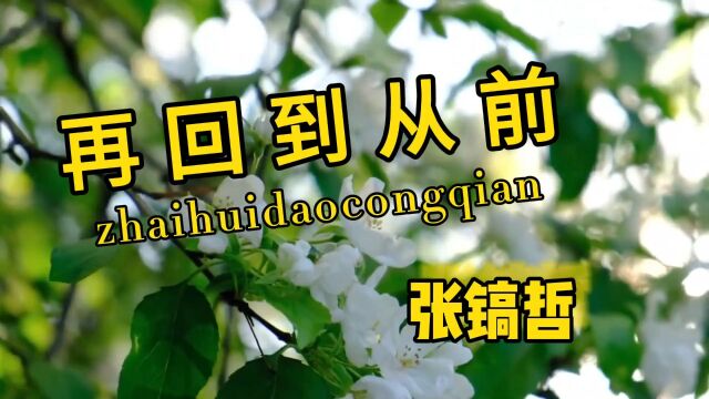 张镐哲演唱流行怀旧金曲《再回到从前》,怀念过往的日子