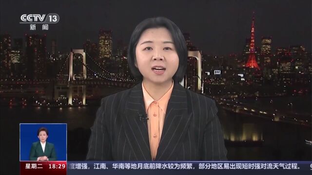 何欣蕾总台图片