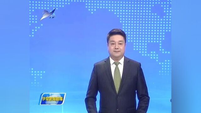 杨秀理到伊宁县调研_腾讯新闻