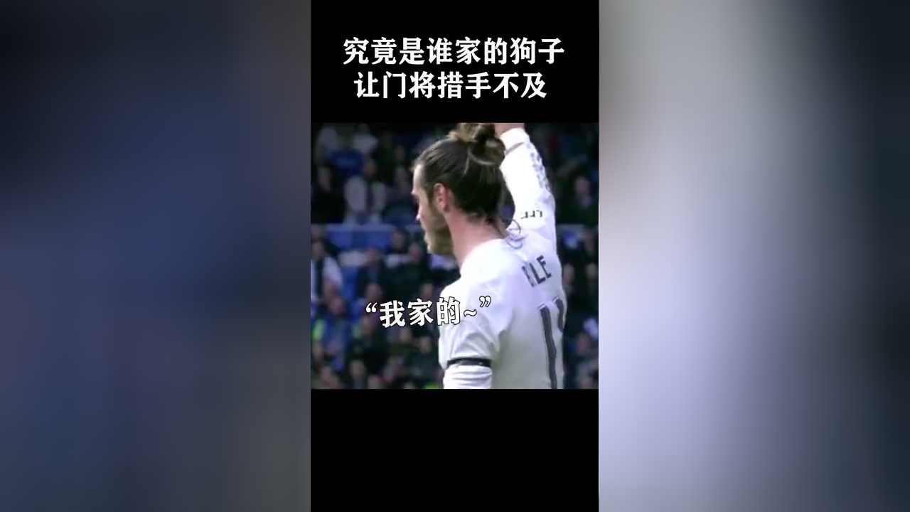 究竟是谁家的狗子跑出来了,给门将来了个措手不及,这球分像谁
