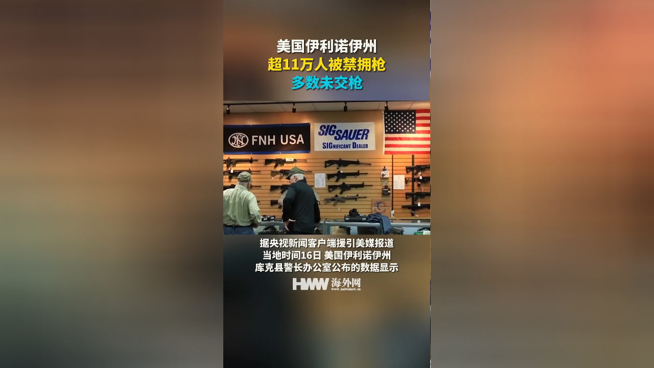 美国伊利诺伊州超11万人被禁拥枪 多数未交枪