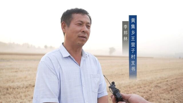 中央电视台现场直播淮阳麦收情况