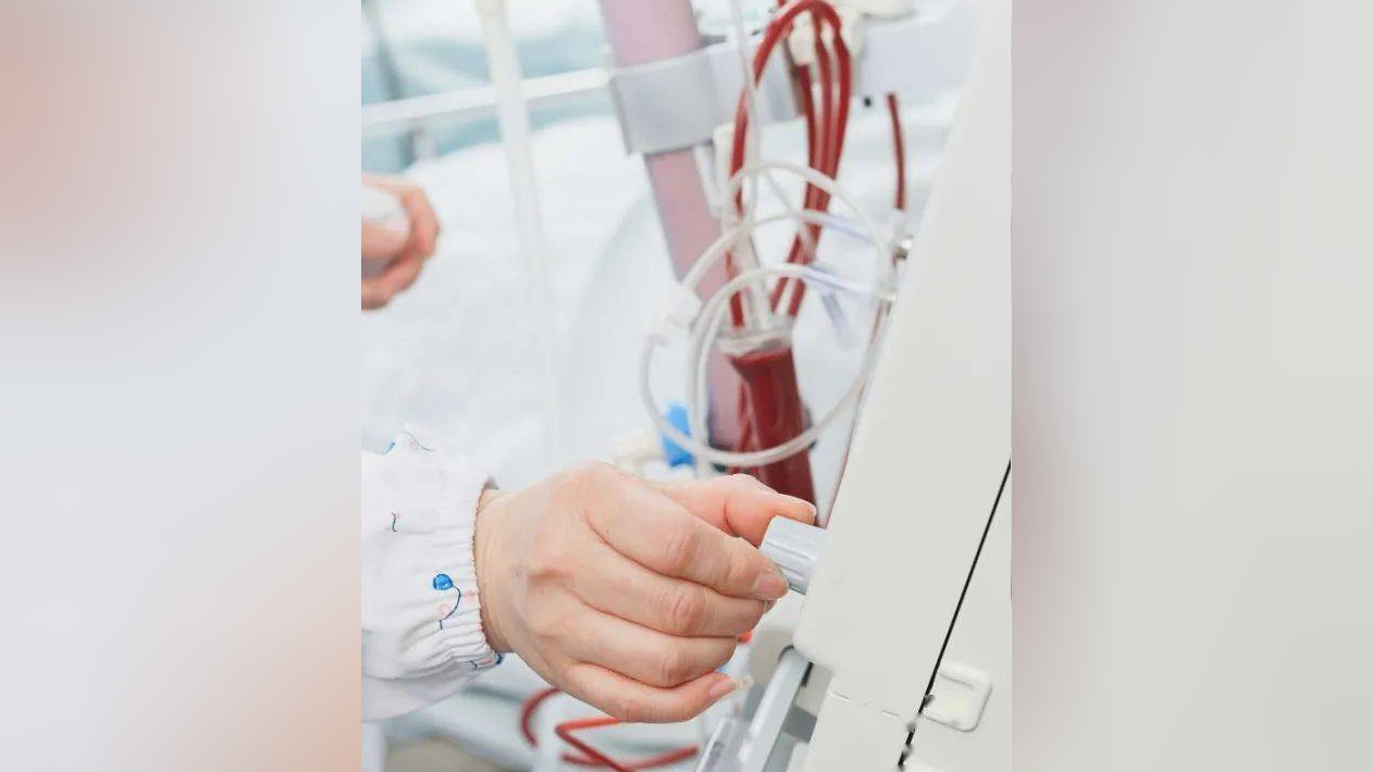 科普动起来|血管通路是血液透析患者的生命线