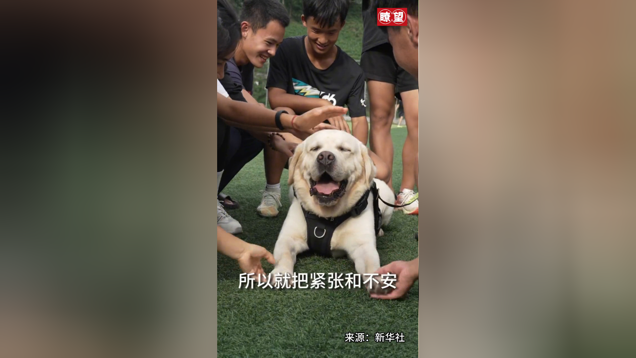 警犬云吞为高考考生送上温馨小提示和祝福