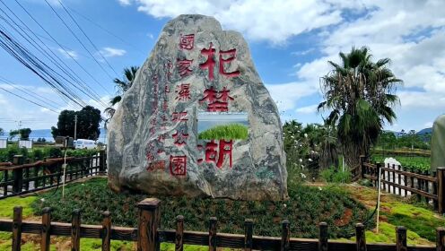 美丽通海 碧水蓝天 杞麓湖美