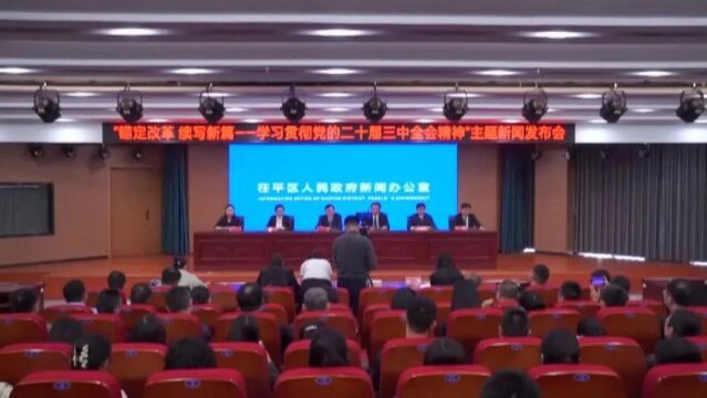 茌平区召开锚定改革 续写新篇——学习贯彻党的二十届三中全会精神