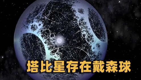 塔比星百科图片