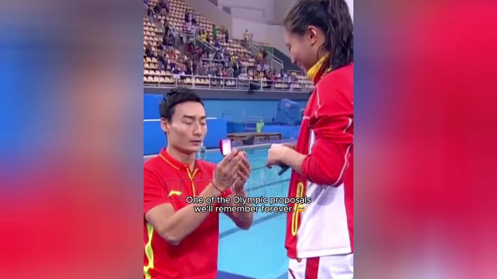 回顾奥运浪漫一刻秦凯在里约奥运赛场上向何姿求婚