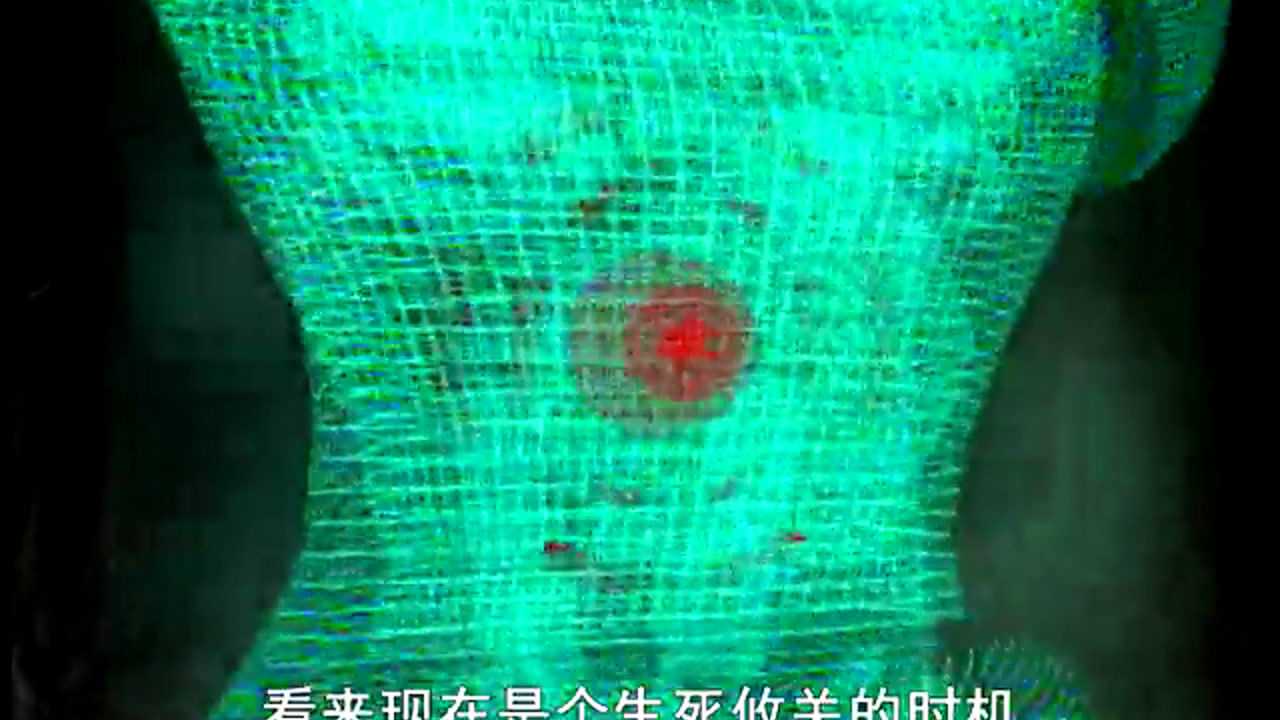 变形金刚之超能勇士 46集