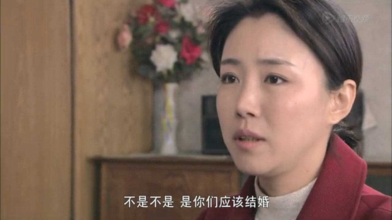 翠兰的爱情 29集