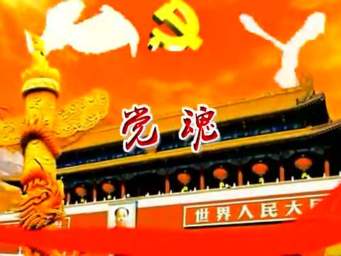 党魂_腾讯视频