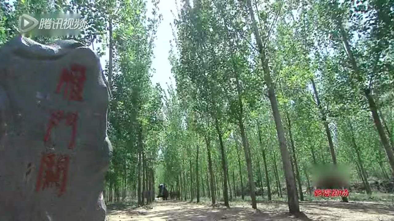 隋唐英雄5 7集
