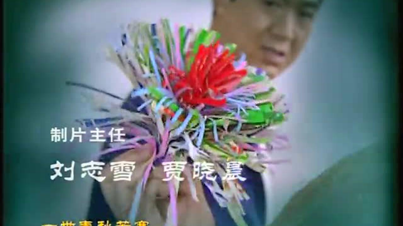 我这一辈子 13集