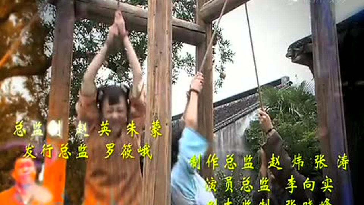大屋的丫鬟们 25集