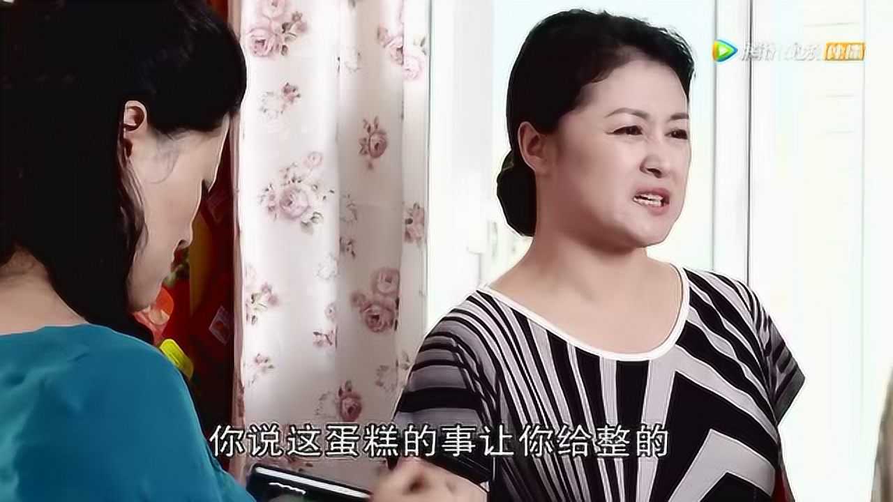 乡村爱情8（上） 19集