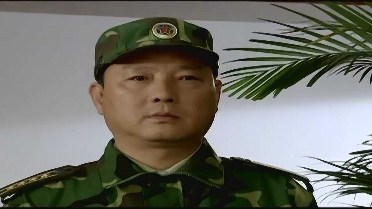 和平使命 14集