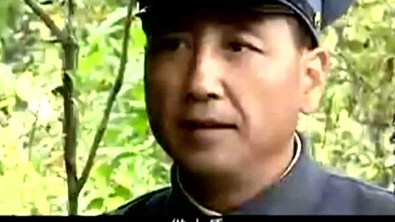 杨靖宇将军 15集