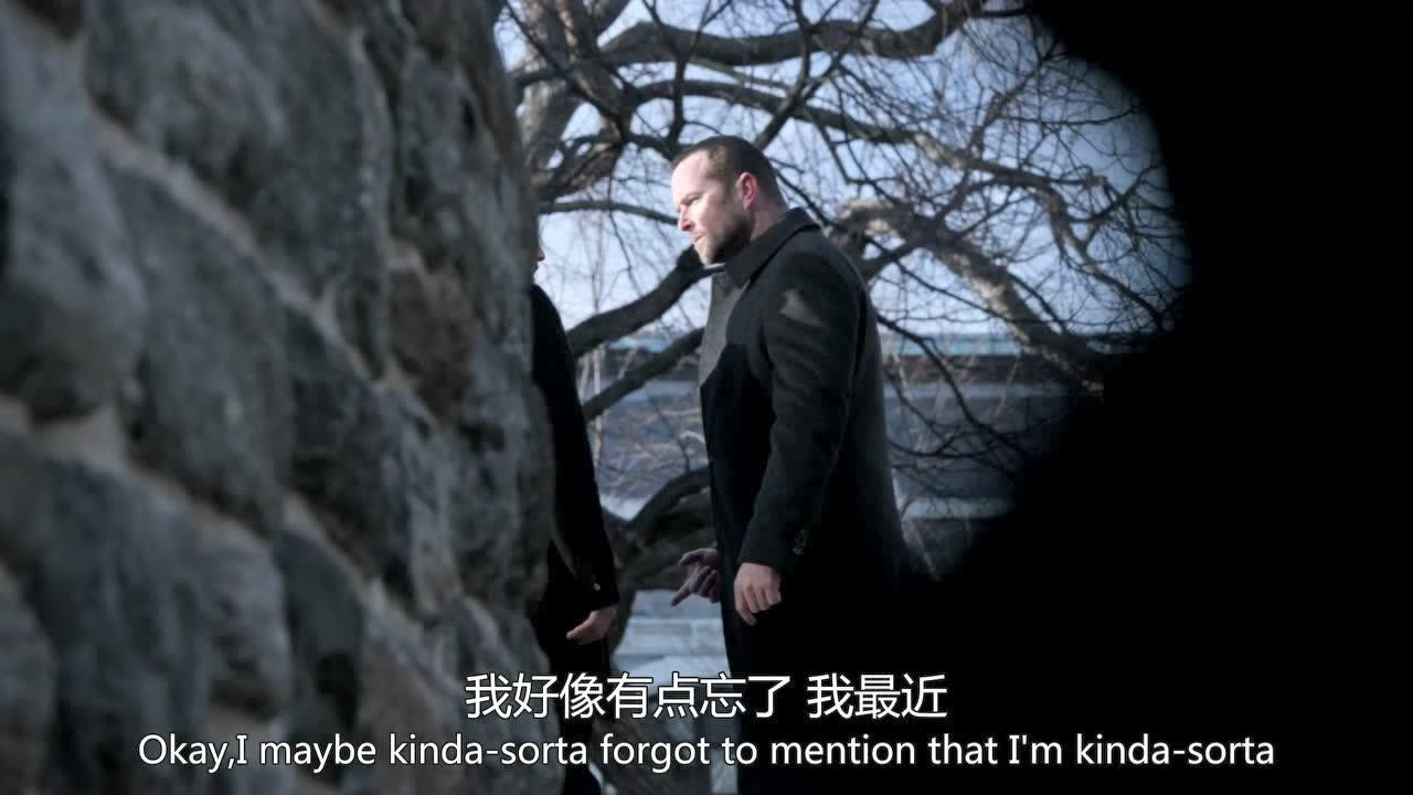 盲点第2季 14集