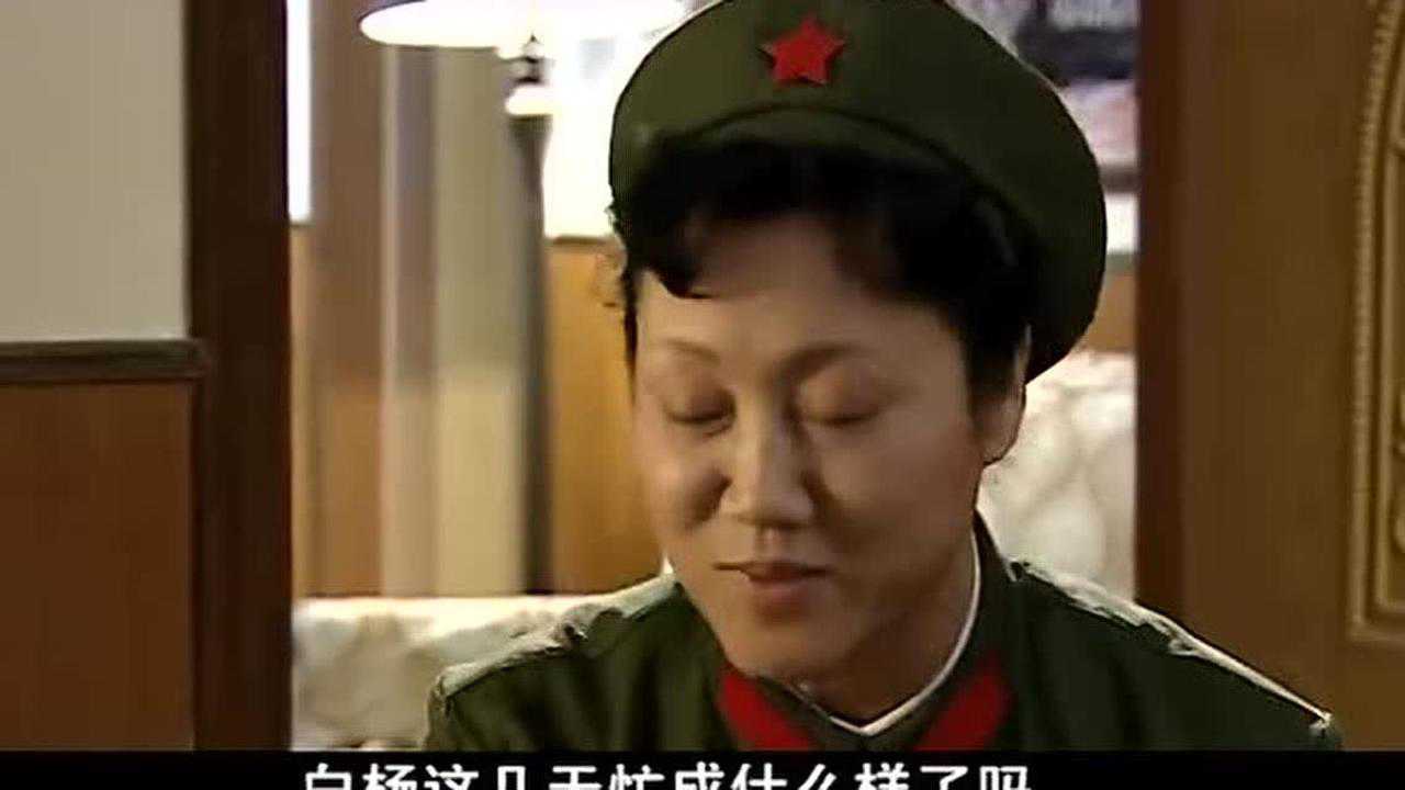 幸福像花儿一样 26集