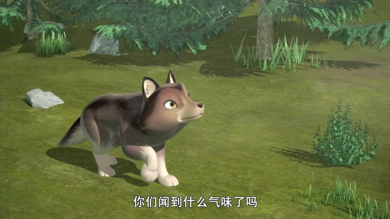 小狼旺吉 英文版 41集