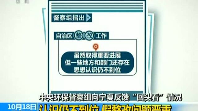 中央环保督察组向宁夏反馈“回头看”情况 认识仍不到位 假整改问题严重