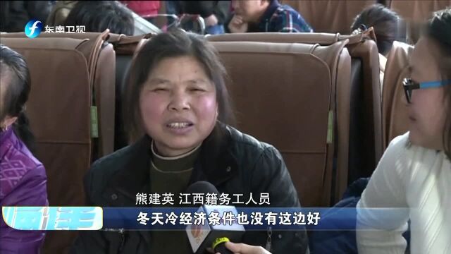 回家的路ⷦ•…事“小候鸟”过年飞回家