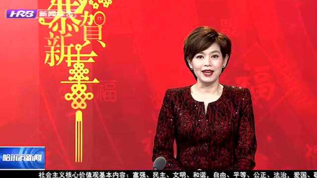 《起航2019》哈尔滨:借助“互联网+”实现稳定就业高质量就业